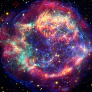 Meet your Posher, Ty